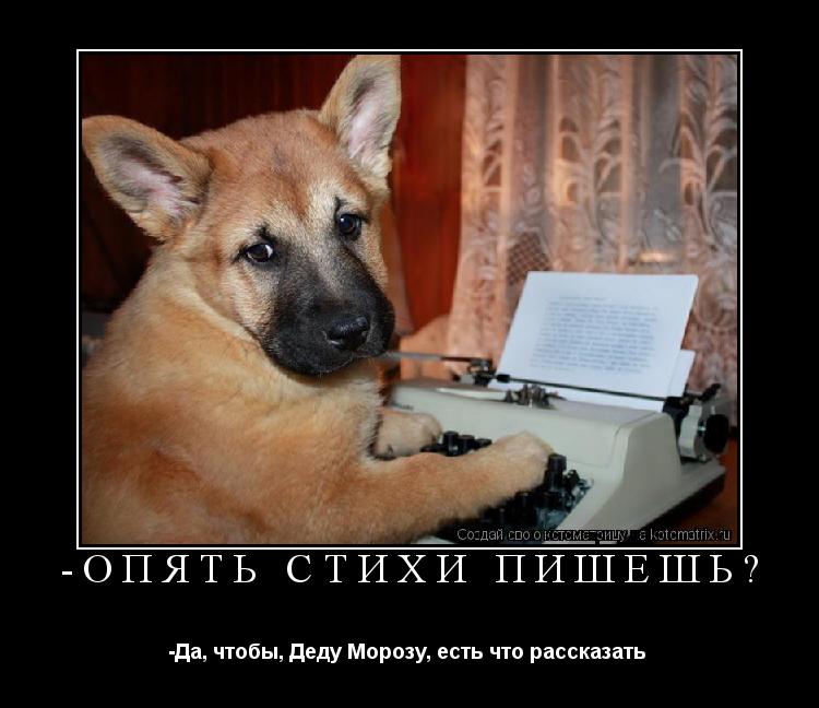 -Опять стихи пишешь? -Да, чтобы, Деду Морозу, есть что рассказать ... Котоматрица: -Опять стихи пишешь? -Да, чтобы, Деду Морозу, есть что рассказать