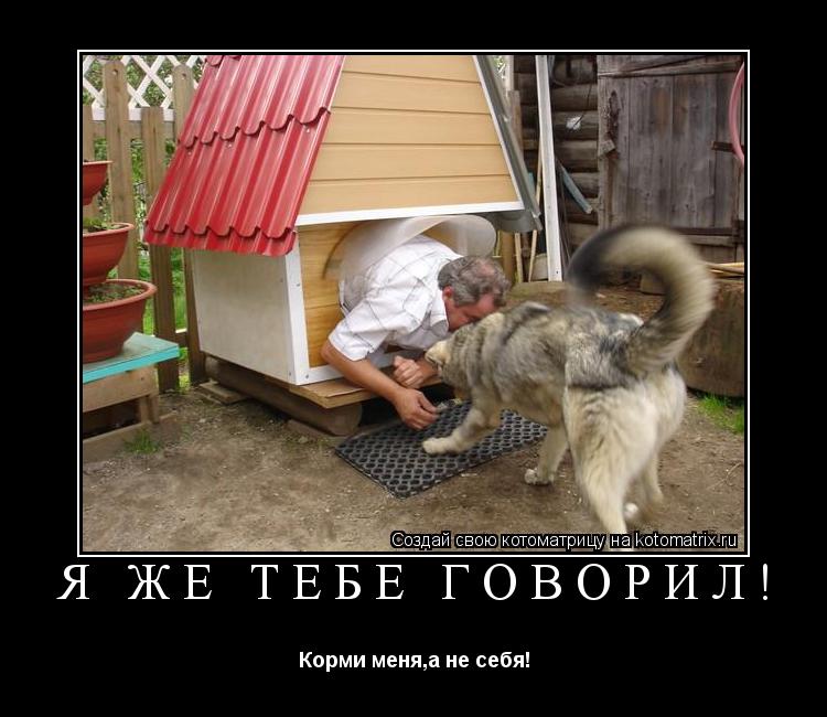 Я же тебе говорил! Корми меня,а не себя!... Котоматрица: Я же тебе говорил! Корми меня,а не себя!