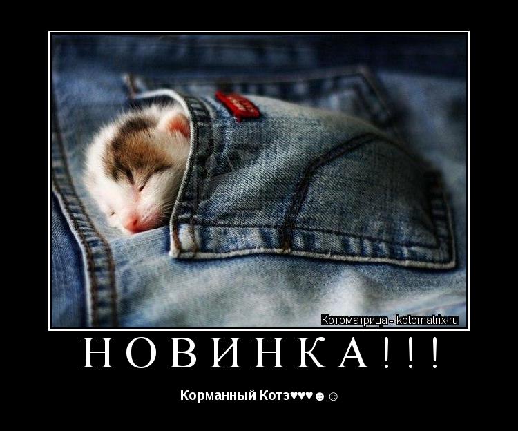 Новинка!!! Корманный Котэ♥♥♥☻☺... Котоматрица: Новинка!!! Корманный Котэ♥♥♥☻☺