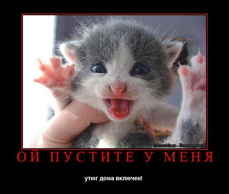 Ой пустите у меня утюг дома включен! ... Котоматрица: Ой пустите у меня утюг дома включен!