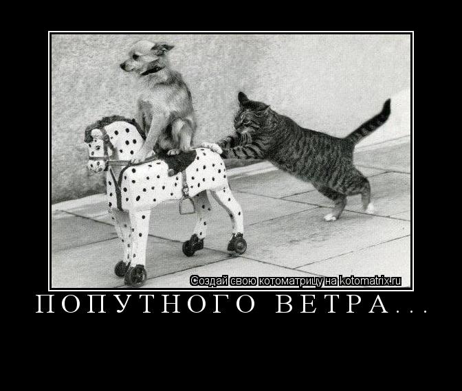 Попутного ветра... ... Котоматрица: Попутного ветра...
