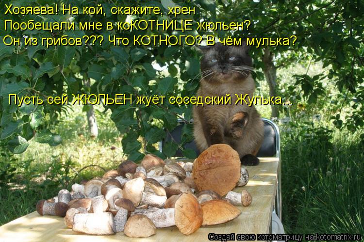 Хозяева! На кой, скажите, хрен Пообещали мне в коКОТНИЦЕ жюльен? Он из грибов??? Что КОТНОГО? В чём м... Котоматрица: Хозяева! На кой, скажите, хрен Пообещали мне в коКОТНИЦЕ жюльен? Он из грибов??? Что КОТНОГО? В чём мулька? Пусть сей ЖЮЛЬЕН жуёт соседский Жул