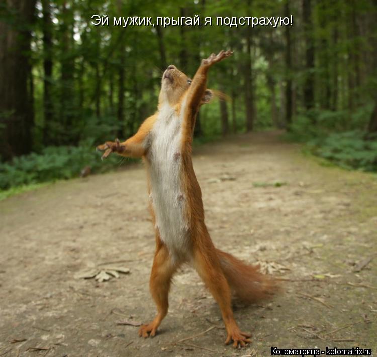 Эй мужик,прыгай я подстрахую!... Котоматрица: Эй мужик,прыгай я подстрахую!