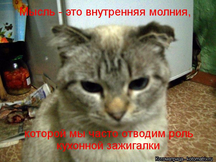 Мысль - это внутренняя молния, которой мы часто отводим роль кухонной зажигалки Мысль - это внутрення... Котоматрица: Мысль - это внутренняя молния, которой мы часто отводим роль кухонной зажигалки Мысль - это внутренняя молния, которой мы часто отводим роль