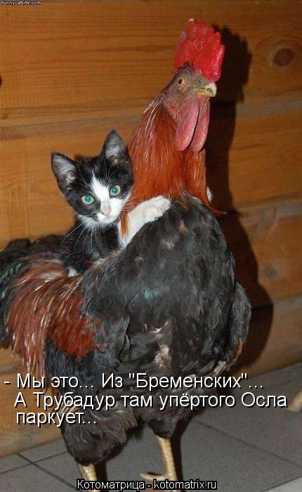 - Мы это... Из "Бременских"... А Трубадур там упёртого Осла паркует...... Котоматрица: - Мы это... Из "Бременских"... А Трубадур там упёртого Осла паркует...