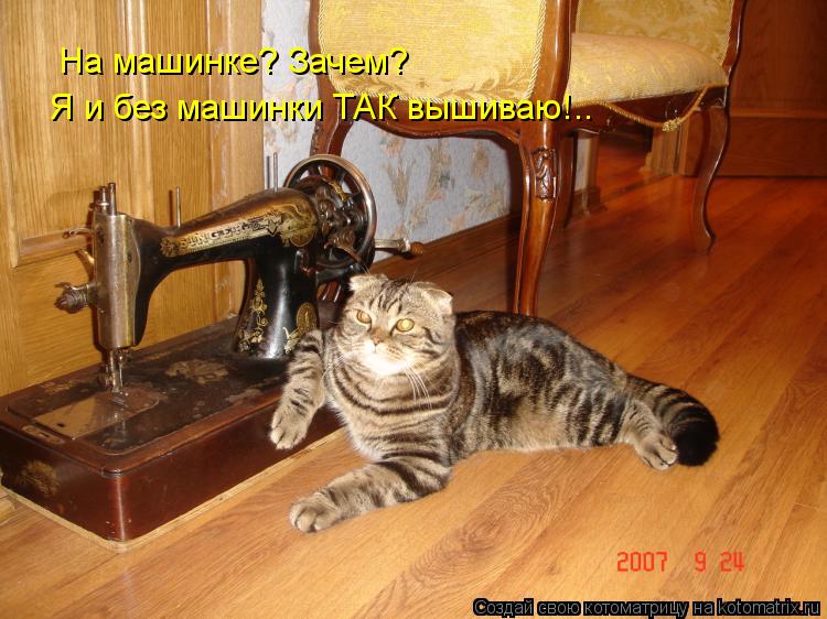 На машинке? Зачем? Я и без машинки ТАК вышиваю!..... Котоматрица: На машинке? Зачем? Я и без машинки ТАК вышиваю!..