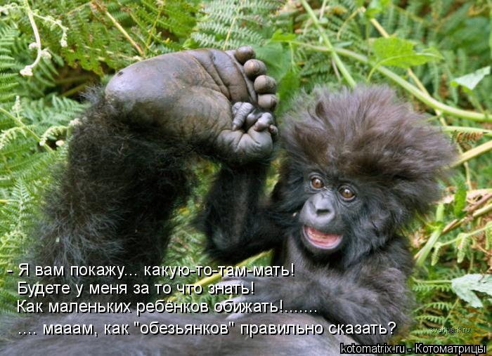- Я вам покажу... какую-то-там-мать! Будете у меня за то что знать! Как маленьких ребёнков обижать!.... Котоматрица: - Я вам покажу... какую-то-там-мать! Будете у меня за то что знать! Как маленьких ребёнков обижать!....... .... мааам, как "обезьянков" правильно ска