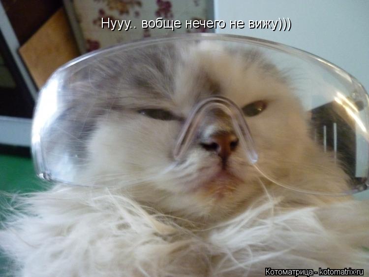 Нууу.. вобще нечего не вижу)))... Котоматрица: Нууу.. вобще нечего не вижу)))