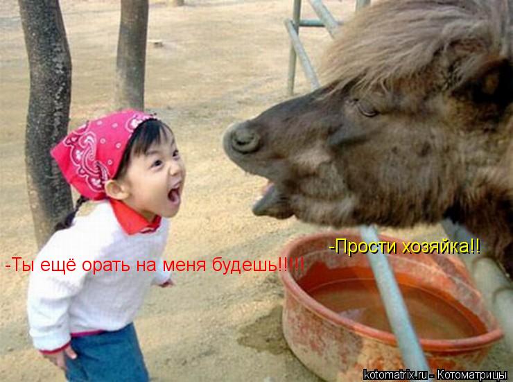 -Ты ещё орать на меня будешь!!!!! -Прости хозяйка!!... Котоматрица: -Ты ещё орать на меня будешь!!!!! -Прости хозяйка!!