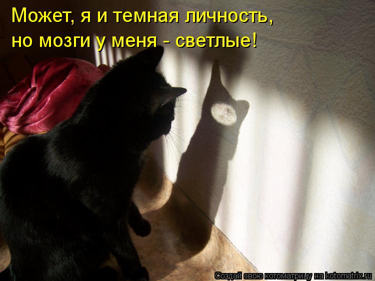 но мозги у меня - светлые! Может, я и темная личность,... Котоматрица: но мозги у меня - светлые! Может, я и темная личность,