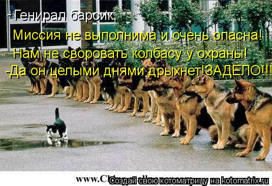 Генирал барсик, Миссия не выполнима и очень опасна! Нам не своровать колбасу у охраны! -Да он целыми ... Котоматрица: Генирал барсик, Миссия не выполнима и очень опасна! Нам не своровать колбасу у охраны! -Да он целыми днями дрыхнет!ЗАДЕЛО!!!!! -