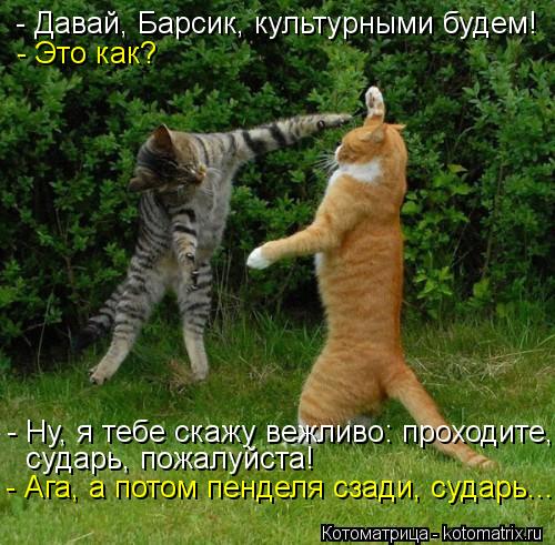 - Давай, Барсик, культурными будем! - Это как? - Ну, я тебе скажу вежливо: проходите, сударь, пожалуй... Котоматрица: - Давай, Барсик, культурными будем! - Это как? - Ну, я тебе скажу вежливо: проходите, сударь, пожалуйста! - Ага, а потом пенделя сзади, сударь...