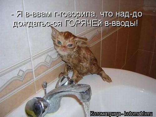 - Я в-ввам г-говорила, что над-до дождатьс-ся ГОРЯЧЕй в-вводы!... Котоматрица: - Я в-ввам г-говорила, что над-до дождатьс-ся ГОРЯЧЕй в-вводы!