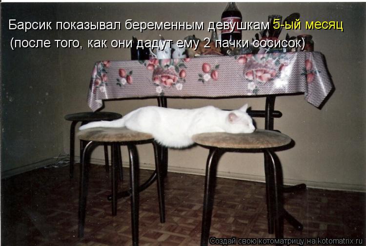 Барсик показывал беременным девушкам (после того, как они дадут ему 2 пачки сосисок) 5-ый месяц... Котоматрица: Барсик показывал беременным девушкам (после того, как они дадут ему 2 пачки сосисок) 5-ый месяц