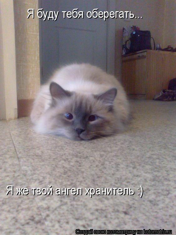 Я буду тебя оберегать... Я же твой ангел хранитель :)... Котоматрица: Я буду тебя оберегать... Я же твой ангел хранитель :)