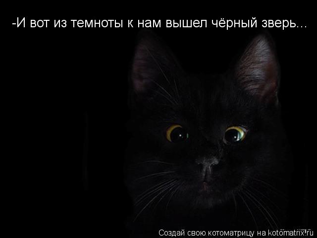 -И вот из темноты к нам вышел чёрный зверь...... Котоматрица: -И вот из темноты к нам вышел чёрный зверь...