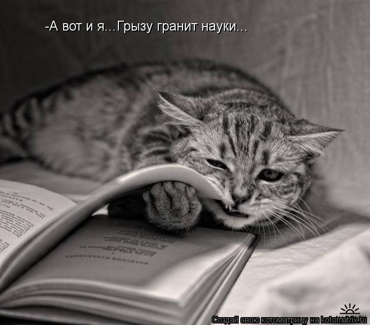 -А вот и я...Грызу гранит науки...... Котоматрица: -А вот и я...Грызу гранит науки...