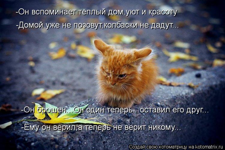 -Он вспоминает тёплый дом,уют и красоту -Домой уже не позовут,колбаски не дадут... -Он брошен...Он од... Котоматрица: -Он вспоминает тёплый дом,уют и красоту -Домой уже не позовут,колбаски не дадут... -Он брошен...Он один теперь...оставил его друг... -Ему он верил,