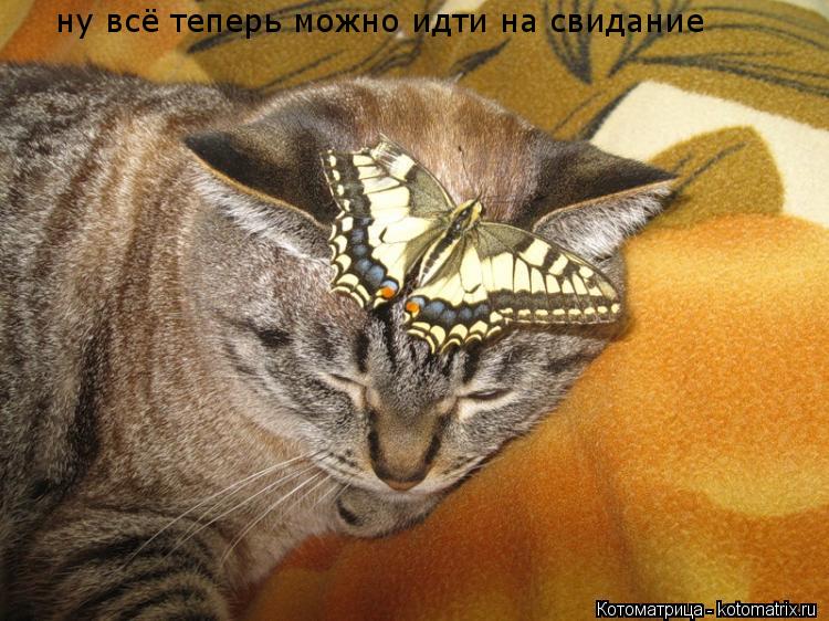 ну всё теперь можно идти на свидание... Котоматрица: ну всё теперь можно идти на свидание