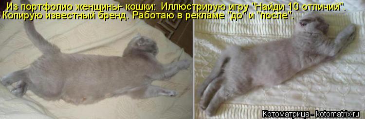 Из портфолио женщины- кошки: Копирую известный бренд. Работаю в рекламе "до" и "после". Иллюстрирую и... Котоматрица: Из портфолио женщины- кошки: Копирую известный бренд. Работаю в рекламе "до" и "после". Иллюстрирую игру "Найди 10 отличий".