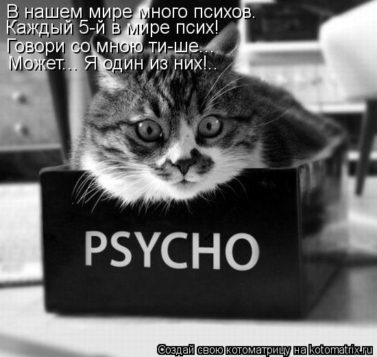 В нашем мире много психов. Каждый 5-й в мире псих! Говори со мною ти-ше... Может... Я один из них!..... Котоматрица: В нашем мире много психов. Каждый 5-й в мире псих! Говори со мною ти-ше... Может... Я один из них!..