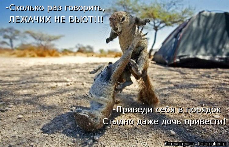-Сколько раз говорить, ЛЕЖАЧИХ НЕ БЬЮТ!!! -Приведи себя в порядок Стыдно даже дочь привести!... Котоматрица: -Сколько раз говорить, ЛЕЖАЧИХ НЕ БЬЮТ!!! -Приведи себя в порядок Стыдно даже дочь привести!