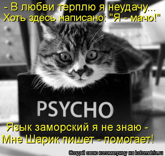 - В любви терплю я неудачу... Хоть здесь написано: "Я - мачо!" Язык заморский я не знаю - Мне Шарик ... Котоматрица: - В любви терплю я неудачу... Хоть здесь написано: "Я - мачо!" Язык заморский я не знаю - Мне Шарик пишет - помогает!