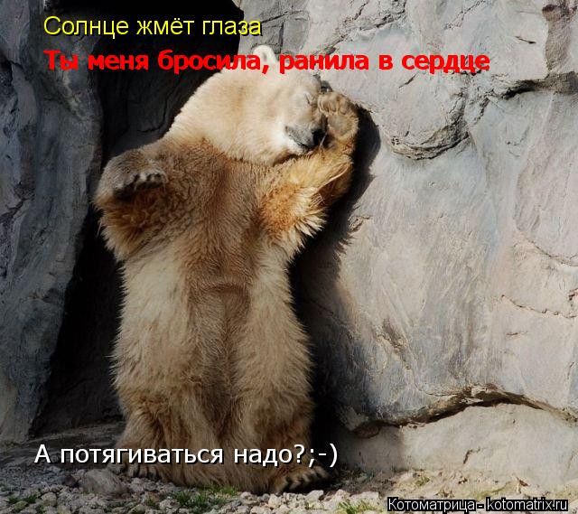 Солнце жмёт глаза Ты меня бросила, ранила в сердце Ты меня бросила, ранила в сердце Ты меня бросила, ... Котоматрица: Солнце жмёт глаза Ты меня бросила, ранила в сердце Ты меня бросила, ранила в сердце Ты меня бросила, ранила в сердце А потягиваться надо?;-)