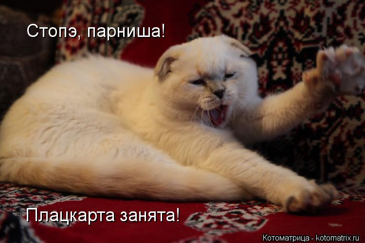 Стопэ, парниша! Плацкарта занята!... Котоматрица: Стопэ, парниша! Плацкарта занята!