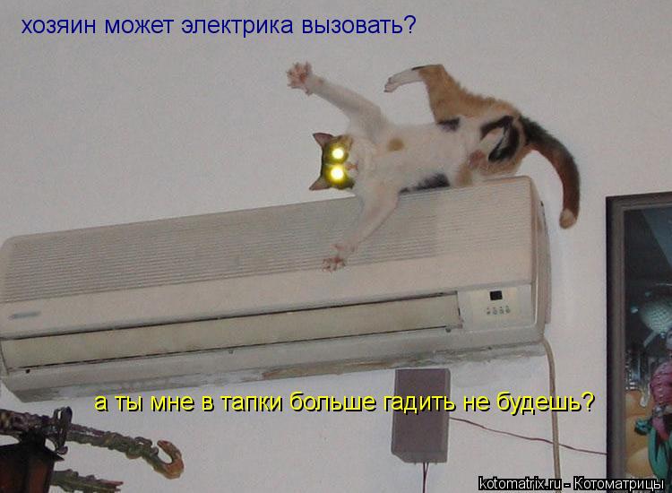 хозяин может электрика вызовать? а ты мне в тапки больше гадить не будешь?... Котоматрица: хозяин может электрика вызовать? а ты мне в тапки больше гадить не будешь?