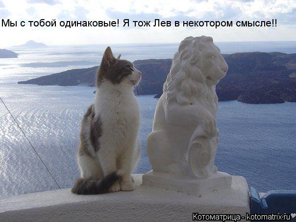 Мы с тобой одинаковые! Я тож Лев в некотором смысле!!... Котоматрица: Мы с тобой одинаковые! Я тож Лев в некотором смысле!!