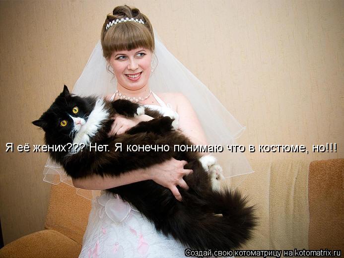 Я её жених??? Нет. Я конечно понимаю что в костюме, но!!!... Котоматрица: Я её жених??? Нет. Я конечно понимаю что в костюме, но!!!