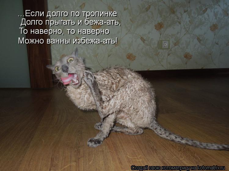 ...Если долго по тропинке Долго прыгать и бежа-ать, То наверно, то наверно Можно ванны избежа-ать!... Котоматрица: ...Если долго по тропинке Долго прыгать и бежа-ать, То наверно, то наверно Можно ванны избежа-ать!