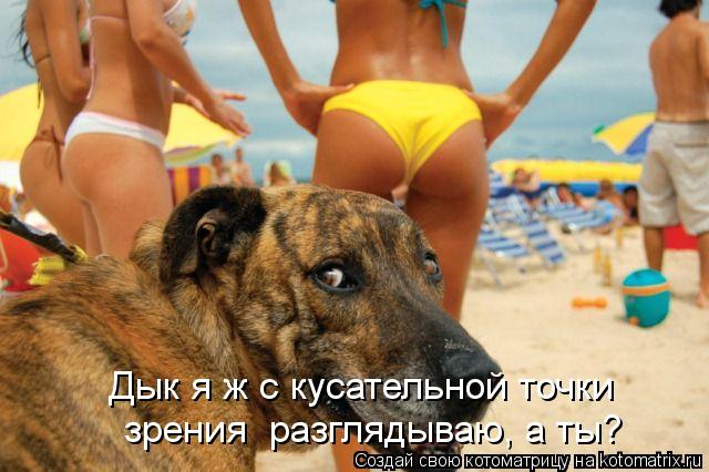 Дык я ж с кусательной точки зрения разглядываю, а ты?... Котоматрица: Дык я ж с кусательной точки зрения разглядываю, а ты?