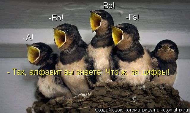 -А! -Бэ! -Вэ! -Гэ! - Так, алфавит вы знаете. Что ж, за цифры!... Котоматрица: -А! -Бэ! -Вэ! -Гэ! - Так, алфавит вы знаете. Что ж, за цифры!