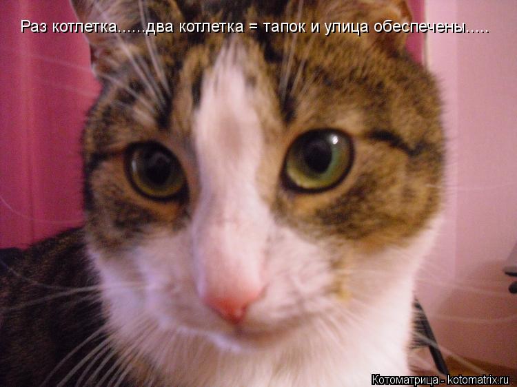 Раз котлетка......два котлетка = тапок и улица обеспечены........ Котоматрица: Раз котлетка......два котлетка = тапок и улица обеспечены.....