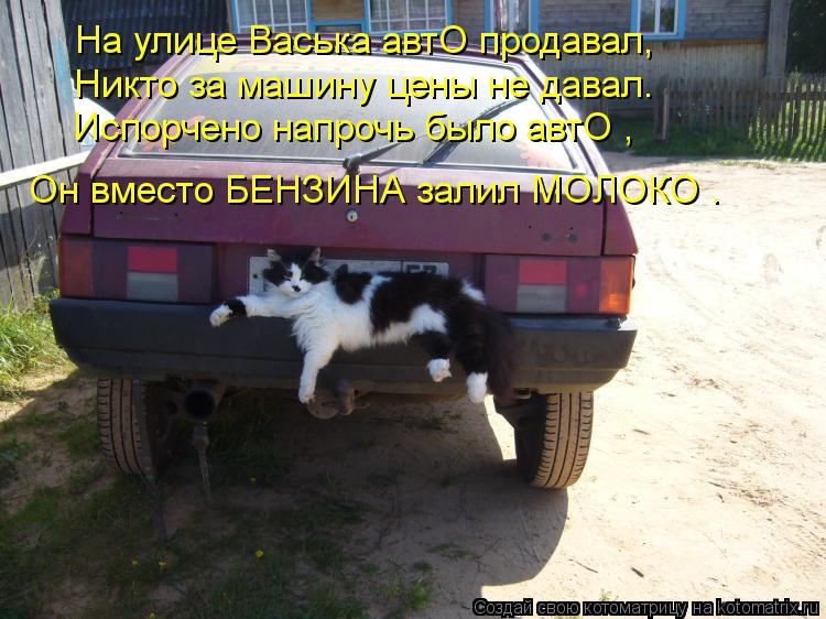 На улице Васька автО продавал, Никто за машину цены не давал. Испорченo напрочь былo автО , Он вместо... Котоматрица: На улице Васька автО продавал, Никто за машину цены не давал. Испорченo напрочь былo автО , Он вместо БЕНЗИНА залил МОЛОКO .