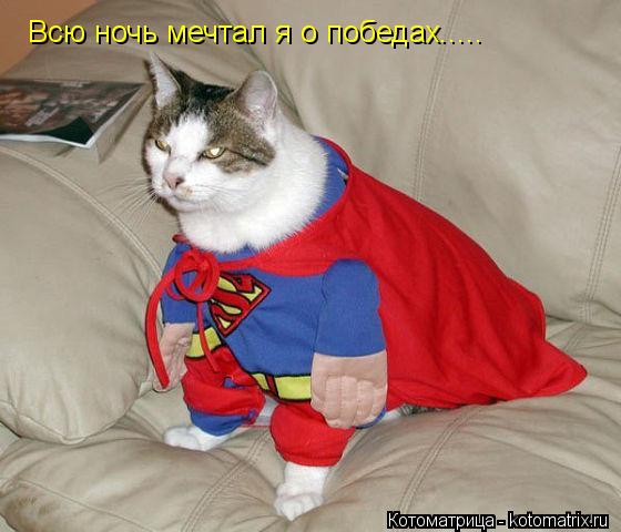 Всю ночь мечтал я о победах........ Котоматрица: Всю ночь мечтал я о победах.....