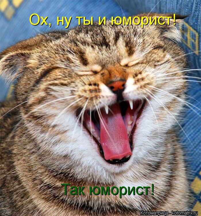Ох, ну ты и юморист! Так юморист!... Котоматрица: Ох, ну ты и юморист! Так юморист!