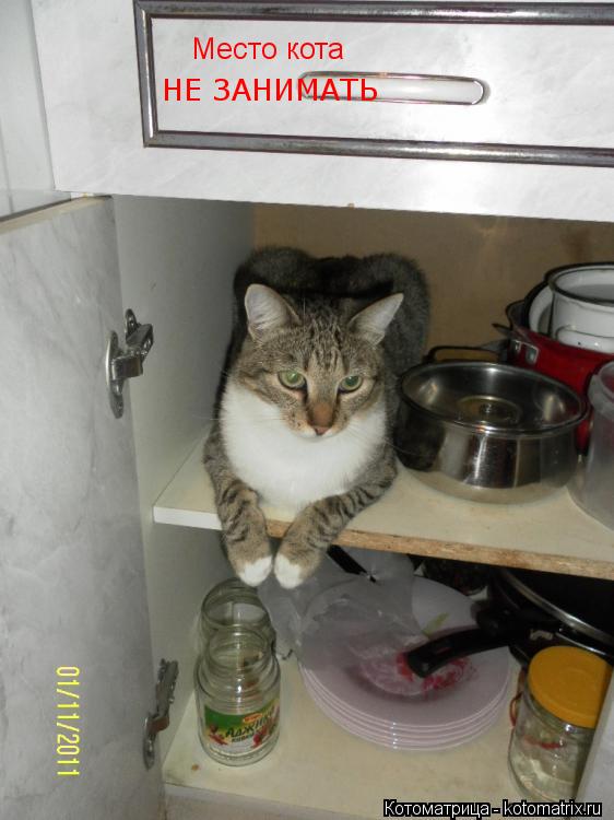 Место кота НЕ ЗАНИМАТЬ... Котоматрица: Место кота НЕ ЗАНИМАТЬ