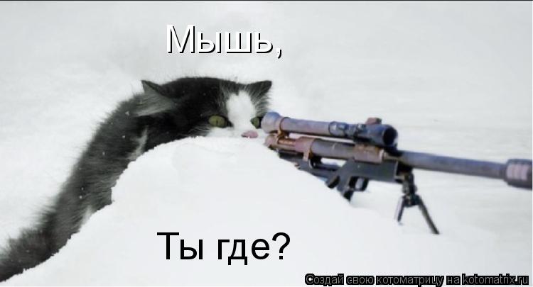 Мышь, Ты где?... Котоматрица: Мышь, Ты где?