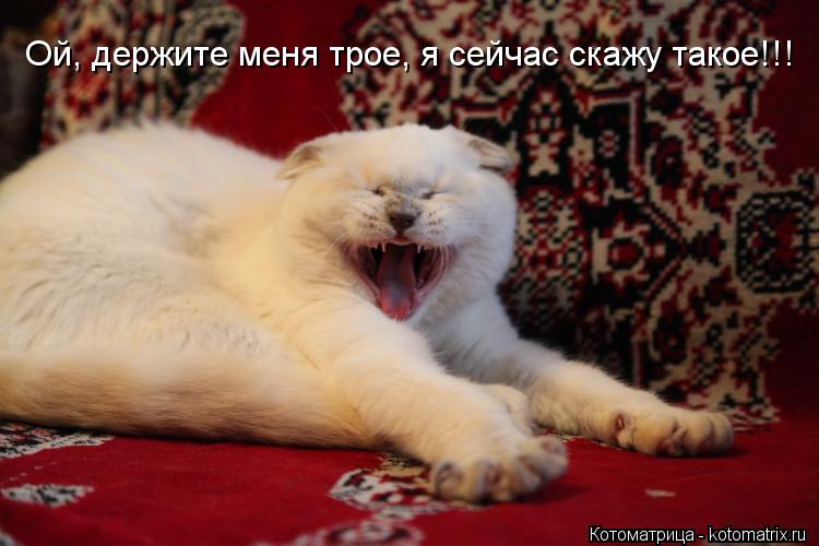 Ой, держите меня трое, я сейчас скажу такое!!!... Котоматрица: Ой, держите меня трое, я сейчас скажу такое!!!