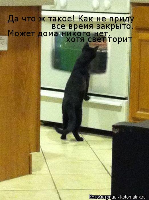 Да что ж такое! Как не приду все время закрыто. Может дома никого нет, хотя свет горит... Котоматрица: Да что ж такое! Как не приду все время закрыто. Может дома никого нет, хотя свет горит
