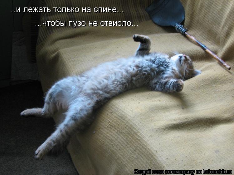 ..и лежать только на спине... ...чтобы пузо не отвисло...... Котоматрица: ..и лежать только на спине... ...чтобы пузо не отвисло...