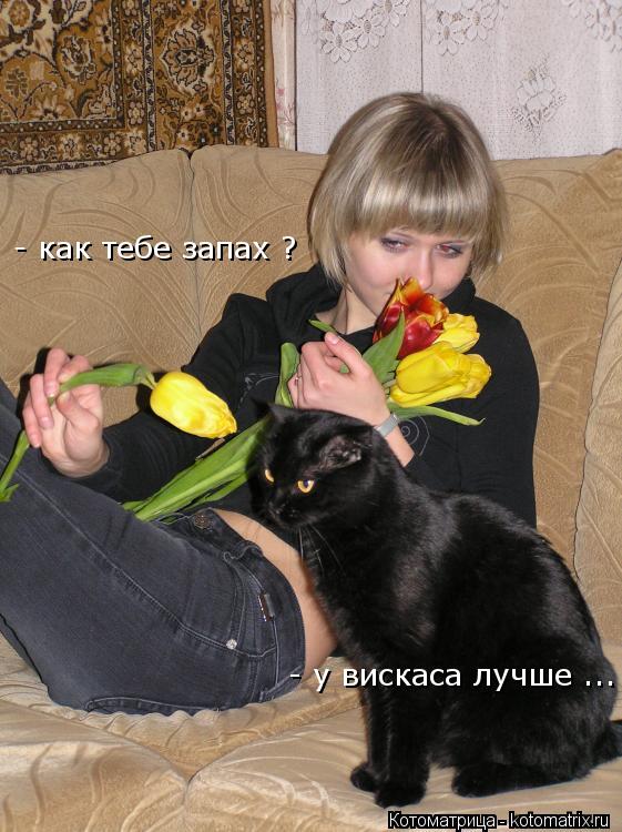 - как тебе запах ? - у вискаса лучше ...... Котоматрица: - как тебе запах ? - у вискаса лучше ...