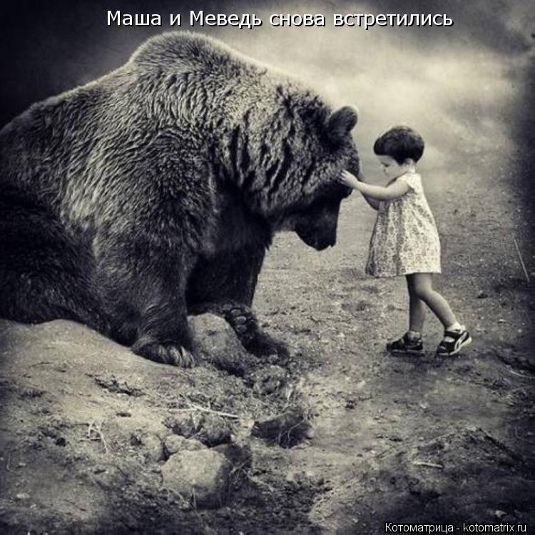 Маша и Меведь снова встретились... Котоматрица: Маша и Меведь снова встретились