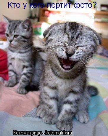 Кто у кого портит фото?... Котоматрица: Кто у кого портит фото?