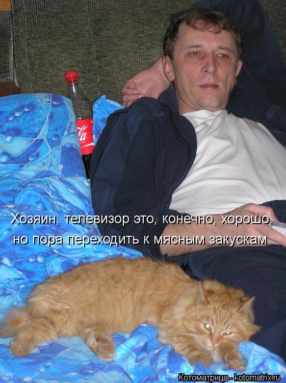 Хозяин, телевизор это, конечно, хорошо, но пора переходить к мясным закускам... Котоматрица: Хозяин, телевизор это, конечно, хорошо, но пора переходить к мясным закускам