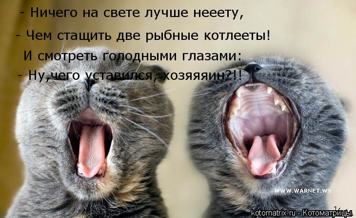 - Ничего на свете лучше нееету, - Чем стащить две рыбные котлееты! И смотреть голодными глазами: - Ну... Котоматрица: - Ничего на свете лучше нееету, - Чем стащить две рыбные котлееты! И смотреть голодными глазами: - Ну,чего уставился, хозяяяин?!!