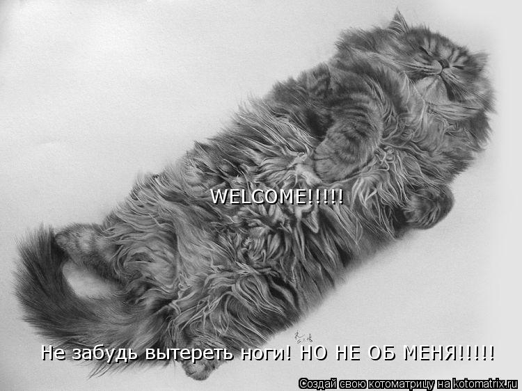 WELCOME!!!!! Не забудь вытереть ноги! НО НЕ ОБ МЕНЯ!!!!!... Котоматрица: WELCOME!!!!! Не забудь вытереть ноги! НО НЕ ОБ МЕНЯ!!!!!